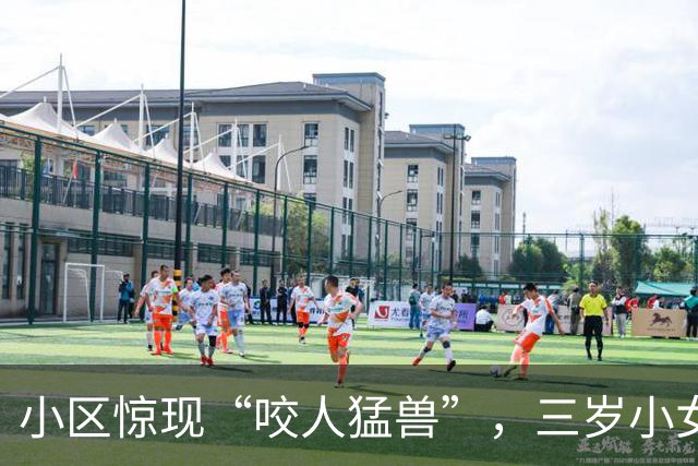 小区惊现“咬人猛兽”，三岁小女孩成了受害者